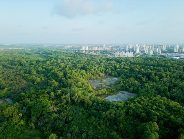 Comment créer un logo efficace et mémorable pour votre marque