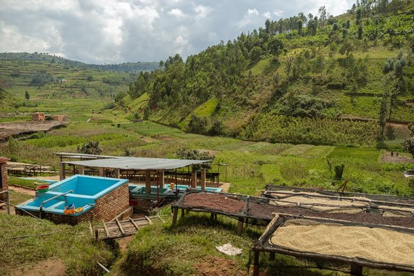 Comment valoriser les déchets de tonte de gazon dans une perspective de zéro déchet ?